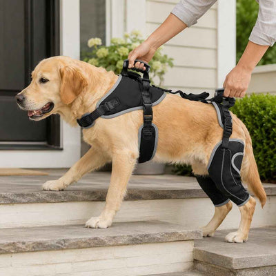 Komavic Full-Body Dog Lift Harness