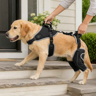 Komavic Full-Body Dog Lift Harness