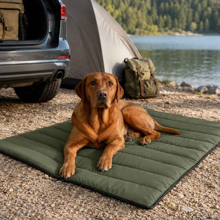 Komavic Portable Roll-Up Dog Travel Mat - Water-Resistant Padded Dog Camping Mat with Anti-Slip Base - Olive Green, 43.3 x 26.8 in