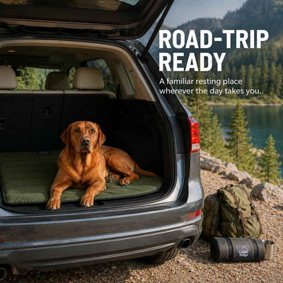 Komavic Portable Roll-Up Dog Travel Mat