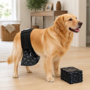 Komavic Reusable Male Dog Urine Collection Wrap with 50 Bags