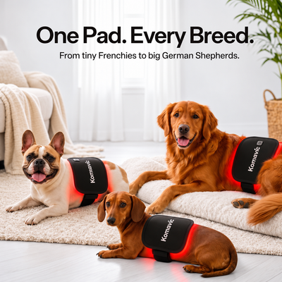 Komavic Dog Red Light Therapy Pad for Joint Care