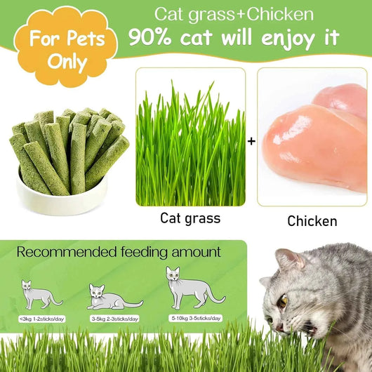 KOMAVIC GrassBite™ Cat Grass Chew Sticks