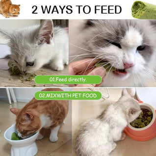 KOMAVIC Natural Cat Grass Teething Sticks, Kitten Chew Stick for Hairball Removal