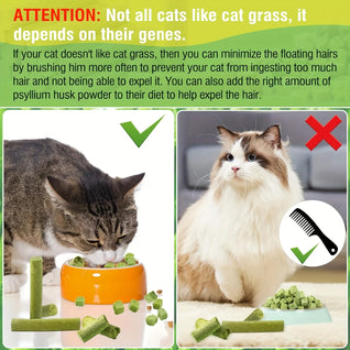 KOMAVIC Natural Cat Grass Teething Sticks, Kitten Chew Stick for Hairball Removal