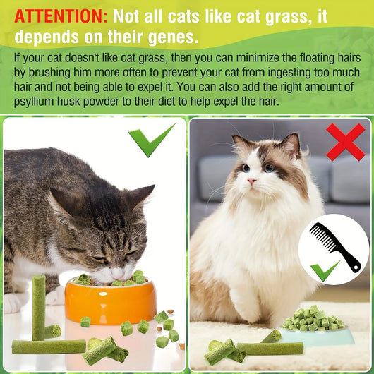 KOMAVIC Natural Cat Grass Teething Sticks, Kitten Chew Stick for Hairball Removal