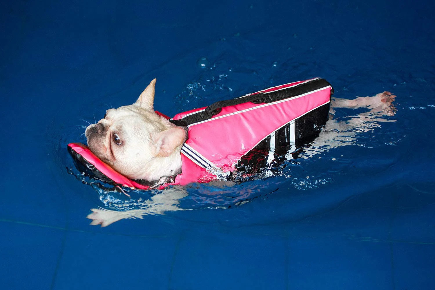 Reflective Dog Life Jacket With Neck Float Pad