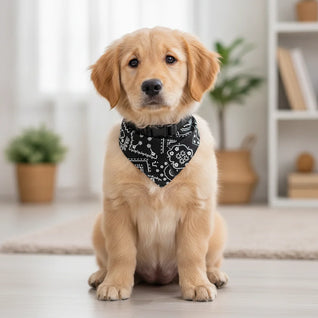 Komavic Adjustable Dog Bandana Scarf