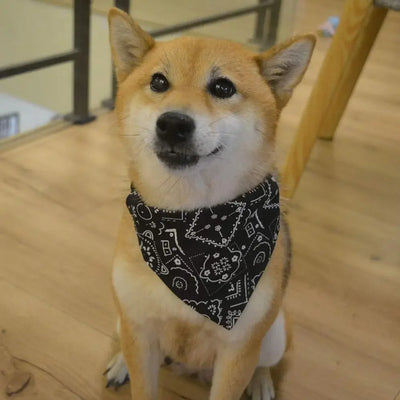 Komavic Adjustable Dog Bandana Scarf