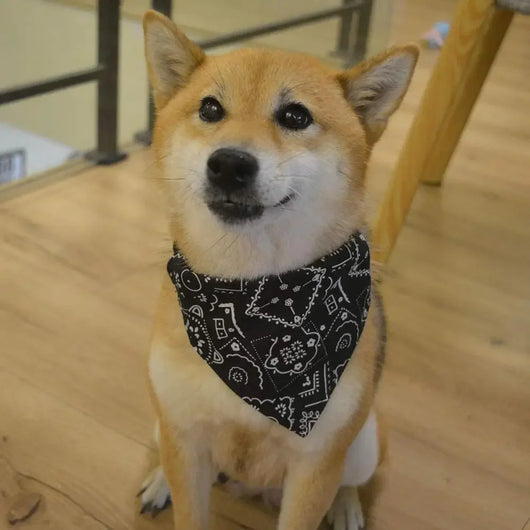 Komavic Adjustable Dog Bandana Scarf