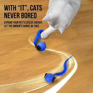 Komavic Interactive Cat Toy Ball Smart Automatic Play