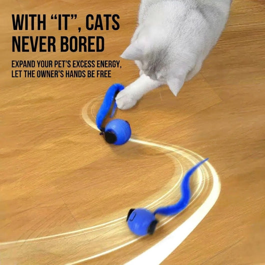 Smart Interactive Cat Toy Ball
