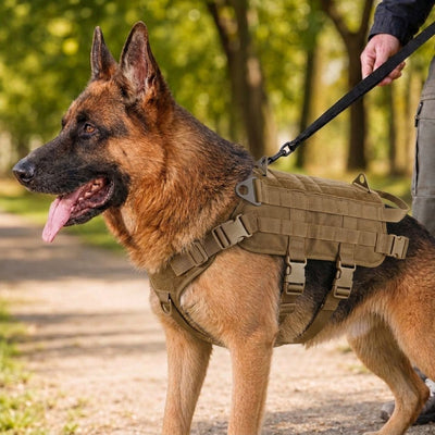 Komavic Tactical Dog Backpack Harness