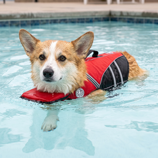 Komavic Dog Life Jacket
