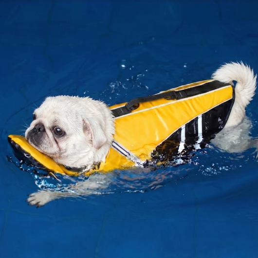Komavic Dog Life Jacket