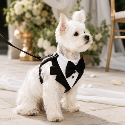 Komavic Tuxedo Dog Harness with Bow Tie