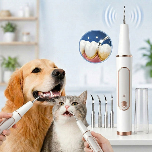 Ultrasonic Pet Dental Cleaner for Dogs & Cats with 5 Cleaning Modes, LED Light & USB-C Rechargeable Design