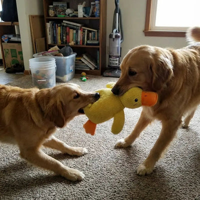 Komavic Quacking Duck Plush Dog Toy
