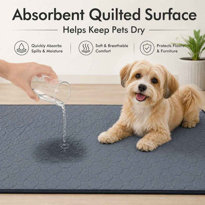 Paws in Awe Reusable Washable Pet Pee Pad for Cats & Dogs - Absorbent Non-Slip Floor Mat for Indoor Potty Training, Playpens & Crates