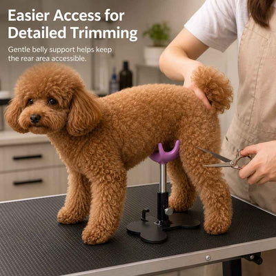 Paws in Awe Adjustable Dog Grooming Support Stand for Small Dogs – Helps Reduce Sitting During Trimming, Brushing & Drying