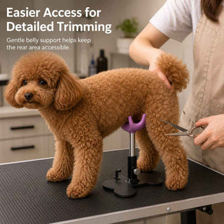 Komavic Dog Grooming Stand – Adjustable Support for Small Dogs