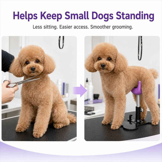 Paws in Awe Adjustable Dog Grooming Support Stand for Small Dogs – Helps Reduce Sitting During Trimming, Brushing & Drying