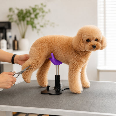 Adjustable Dog Grooming Support Stand for Small Dogs