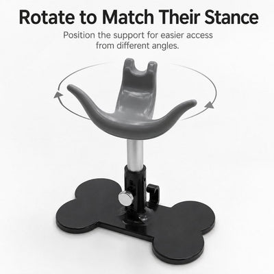 Adjustable Dog Grooming Support Stand for Small Dogs
