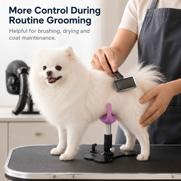 Paws in Awe Adjustable Dog Grooming Support Stand for Small Dogs – Helps Reduce Sitting During Trimming, Brushing & Drying