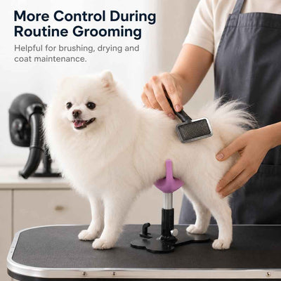 Paws in Awe Adjustable Dog Grooming Support Stand for Small Dogs – Helps Reduce Sitting During Trimming, Brushing & Drying