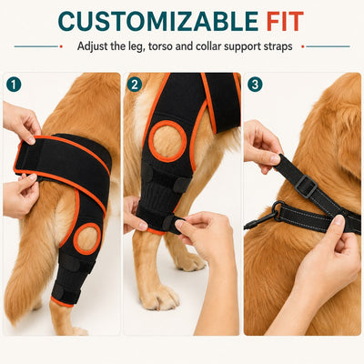 Komavic Adjustable Dog Knee Support Brace