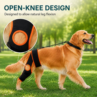 Komavic Adjustable Dog Knee Support Brace