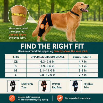 Komavic Adjustable Dog Knee Support Brace