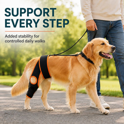 Komavic Adjustable Dog Knee Support Brace
