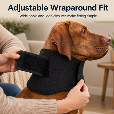 Komavic Adjustable Dog Neck Support Brace