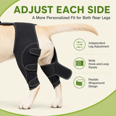Komavic Dual Rear Leg Dog Support Brace with Harness