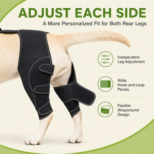 Komavic Dual Rear Leg Dog Support Brace with Harness