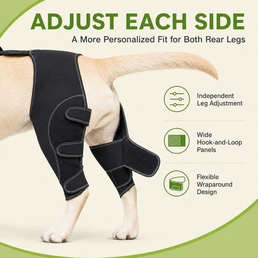 Komavic Dual Rear Leg Dog Support Brace with Harness