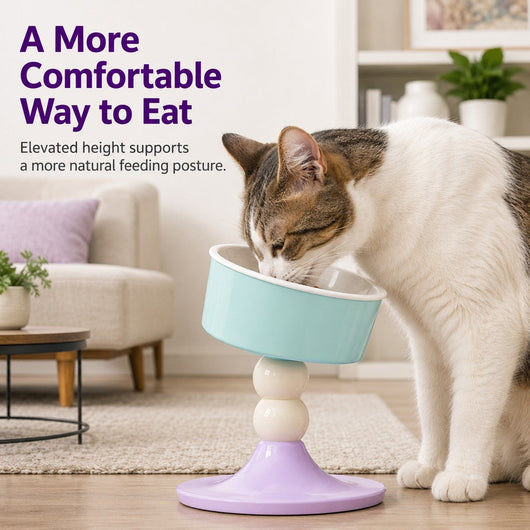 Komavic Elevated Pet Bowl 3 Adjustable Heights