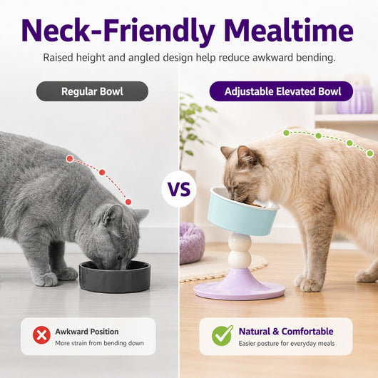 Komavic Elevated Pet Bowl 3 Adjustable Heights