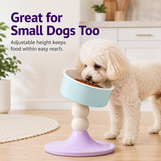 Komavic Elevated Pet Bowl 3 Adjustable Heights
