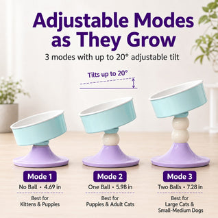 Komavic Elevated Pet Bowl 3 Adjustable Heights