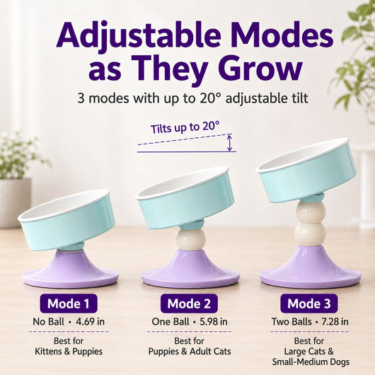 Komavic Elevated Pet Bowl 3 Adjustable Heights