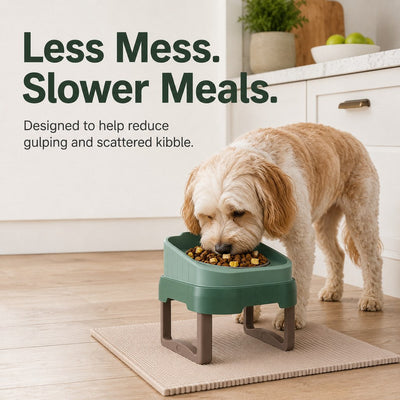 Elevated Slow Feeder Pet Bowl