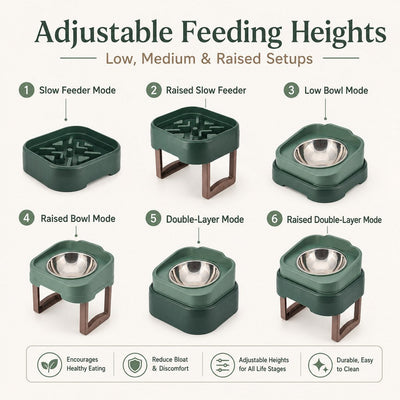 Elevated Slow Feeder Pet Bowl
