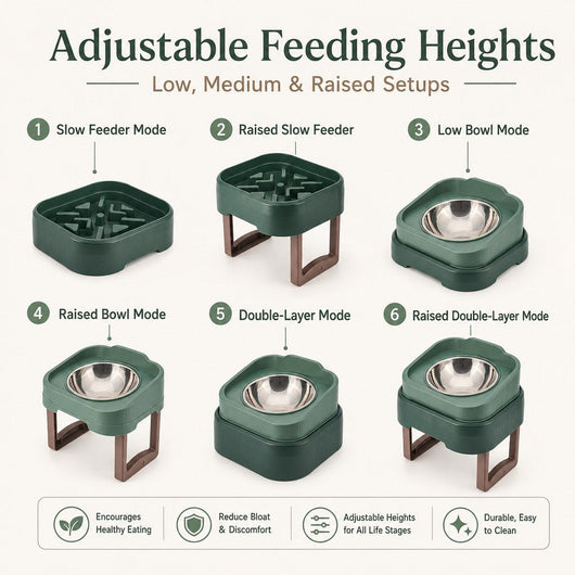 Elevated Slow Feeder Pet Bowl