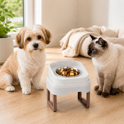 Elevated Slow Feeder Pet Bowl