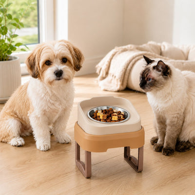 Elevated Slow Feeder Pet Bowl