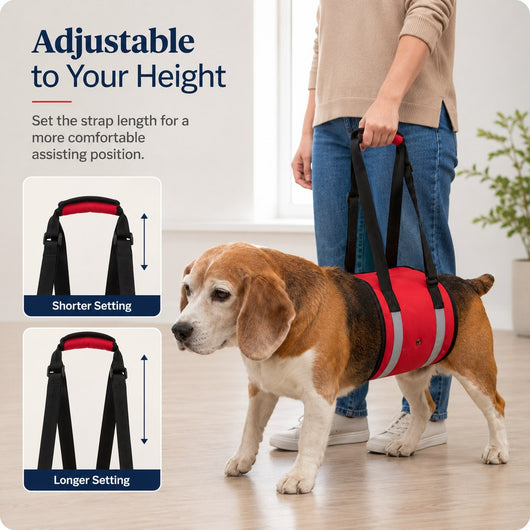 Dog Lift Support Sling