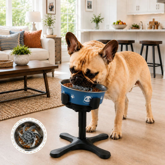 Large Dog Adjustable Elevated Tilted Dog Bowl